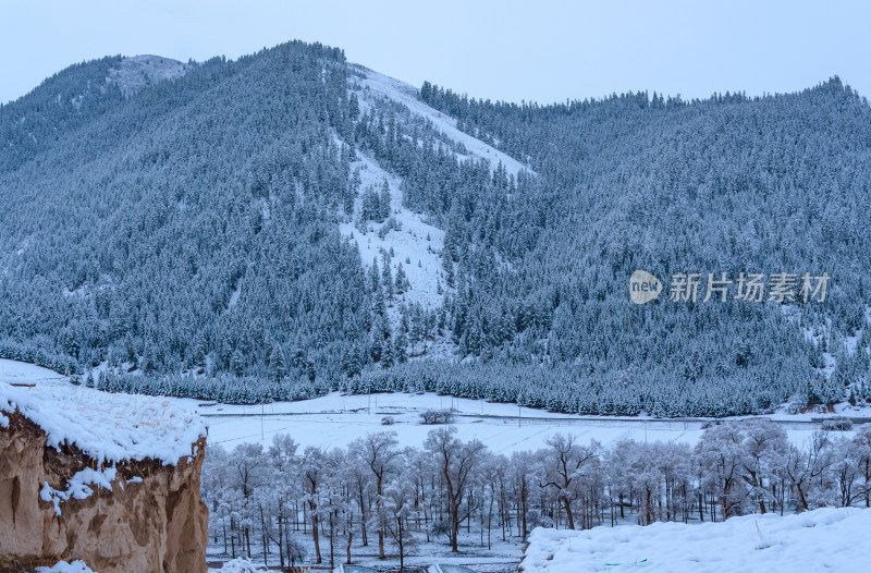 青海祁连卓尔山树林自然唯美雪景风光