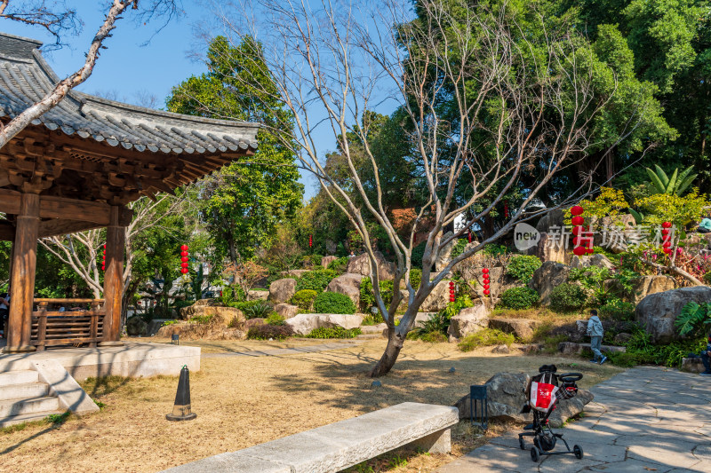 福州春天绿意盎然的冶山春秋公园景色