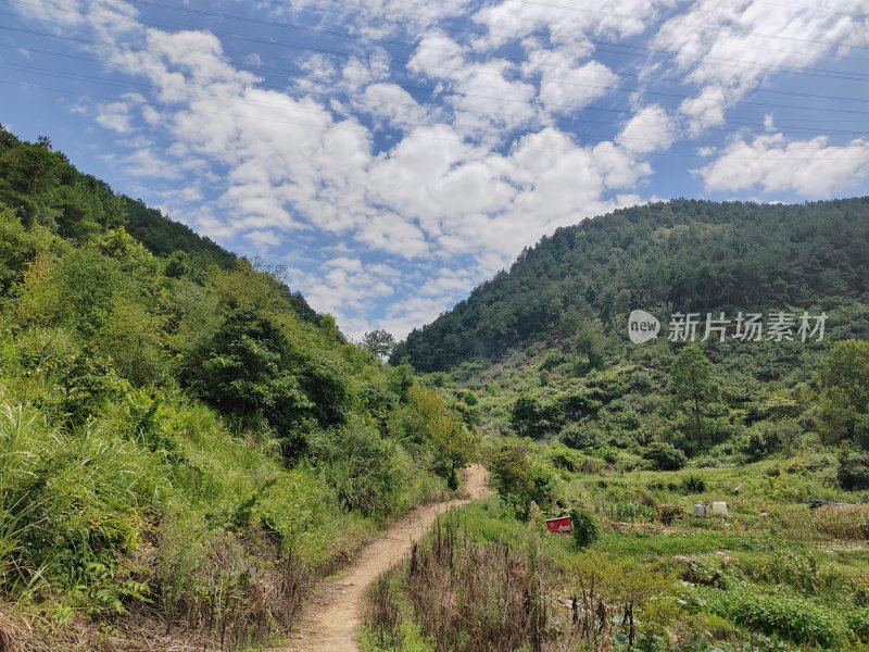 山间小路