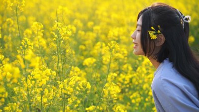 唯美小清新油菜花海里少女闻花香女孩抚摸花