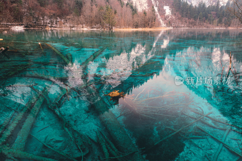 川西九寨沟冬季雪山碧蓝海子唯美