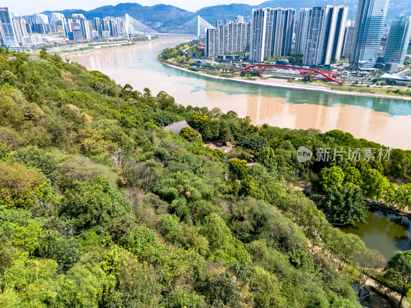 宜宾城市大景绿化植物航拍图