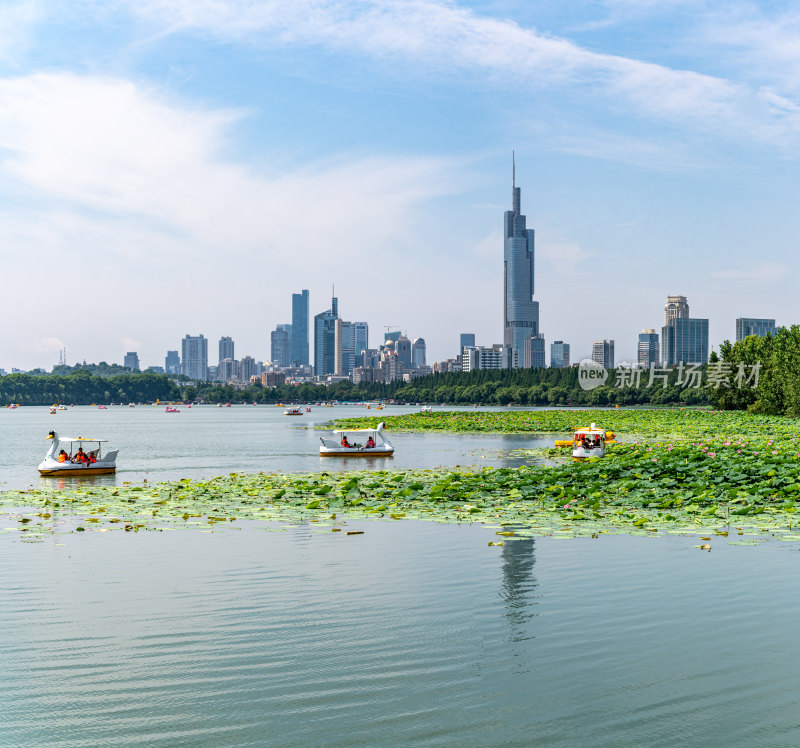 夏天的南京玄武湖自然景观与荷花