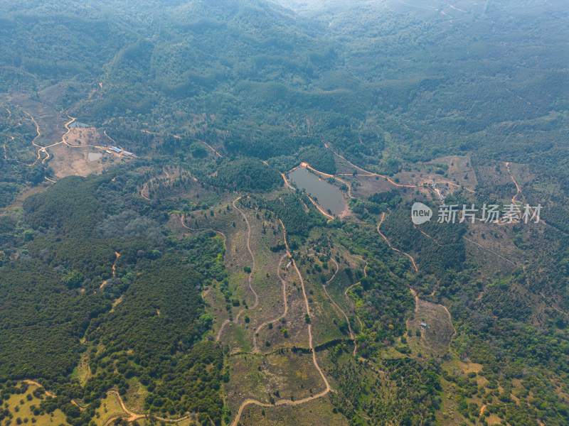 航拍山顶牧场田园风光