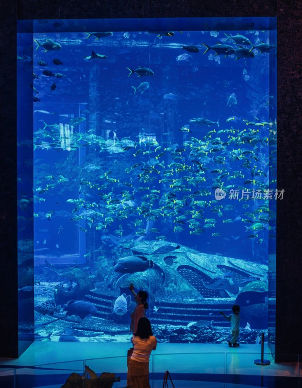 海南省三亚亚特兰蒂斯酒店的水族馆