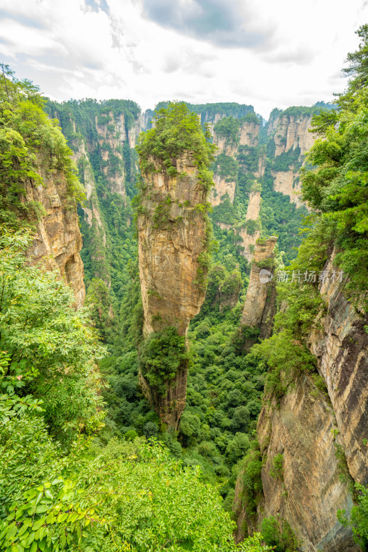 中国湖南张家界景区奇特山峰与茂密森林