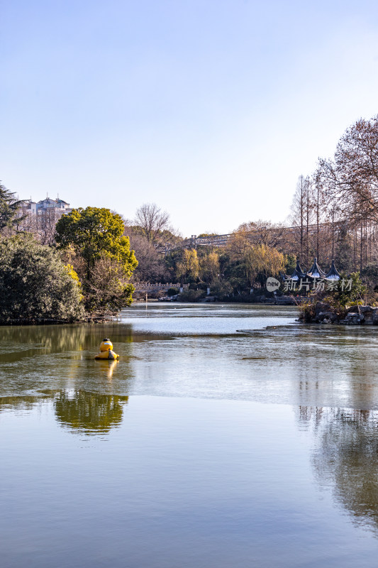 常州红梅公园秋冬倒影景观