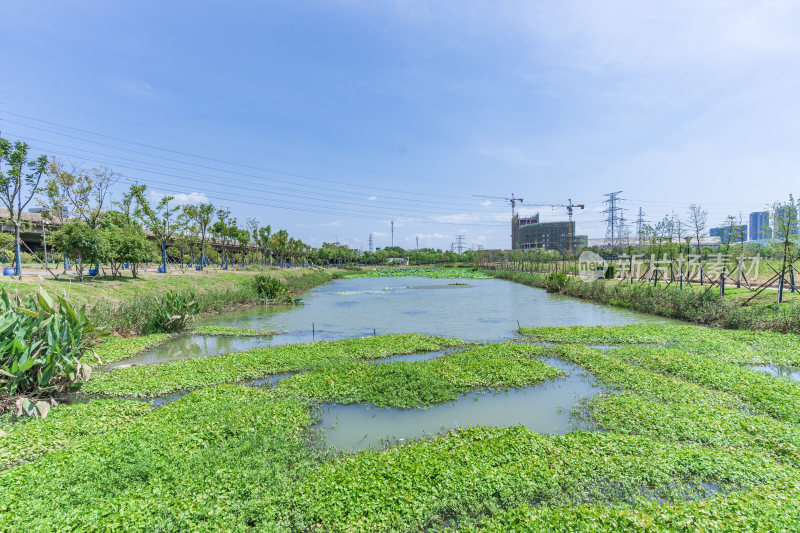 武汉洪山区杨春湖公园风景