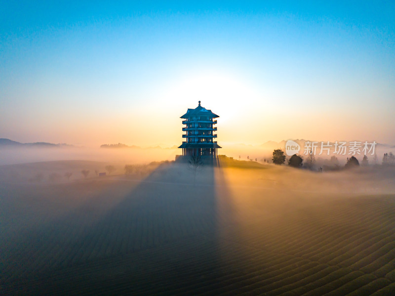 贵州遵义湄潭茶海