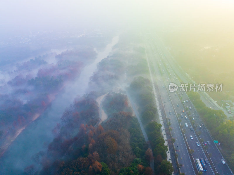 杭州西溪湿地自然风光