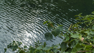 桐庐芦茨风情小镇风景