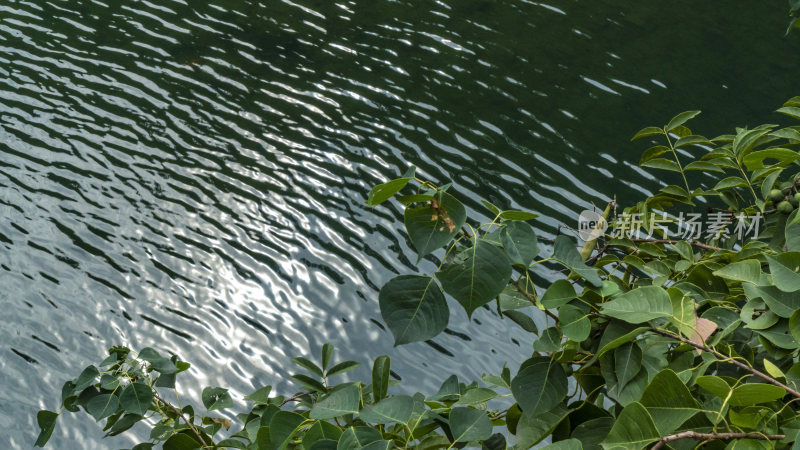 桐庐芦茨风情小镇风景