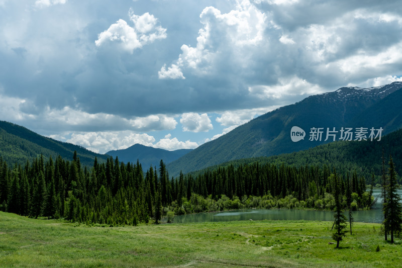 新疆喀纳斯景区风光