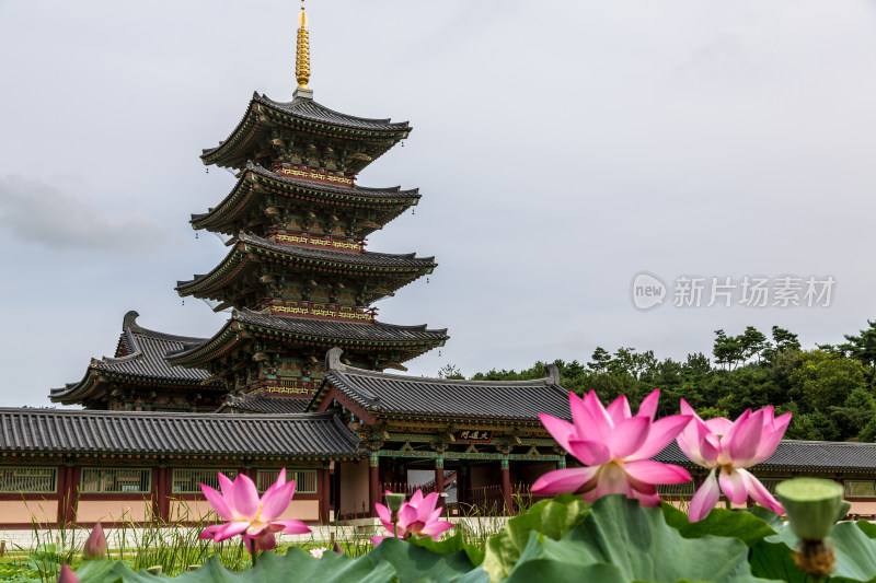 韩国锦山凌寺