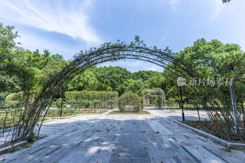 武汉江岸区解放公园风景