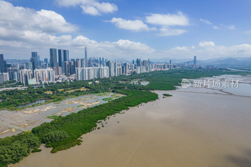 深圳市福田红树林保护区