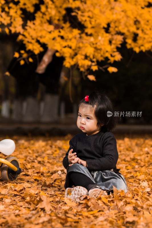 深秋坐在公园落满黄叶的草地上玩耍的女孩