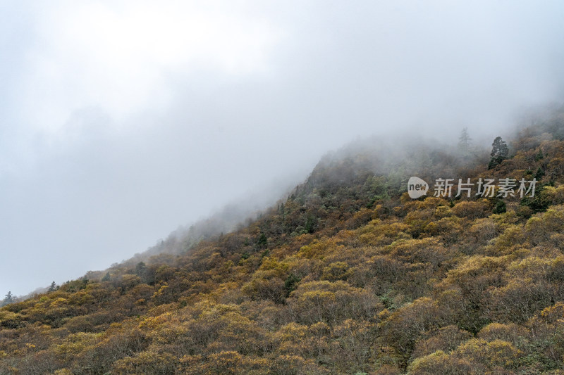 四川阿坝藏族羌族自治州黄龙风景区