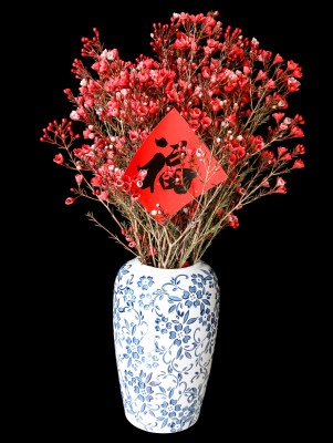 青花瓷花瓶里插着春节年花腊梅和福字