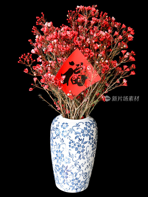 青花瓷花瓶里插着春节年花腊梅和福字