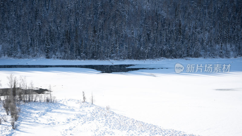 新疆森林河面雪景