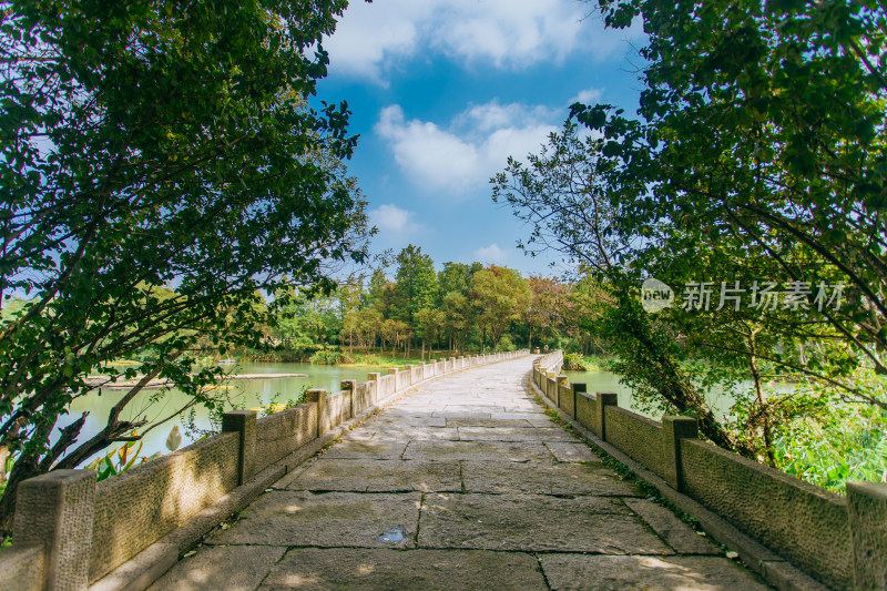 杭州西溪湿地水下生态观光长廊景观