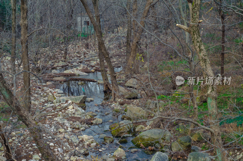 崂山北九水风景区，枯水期的小溪