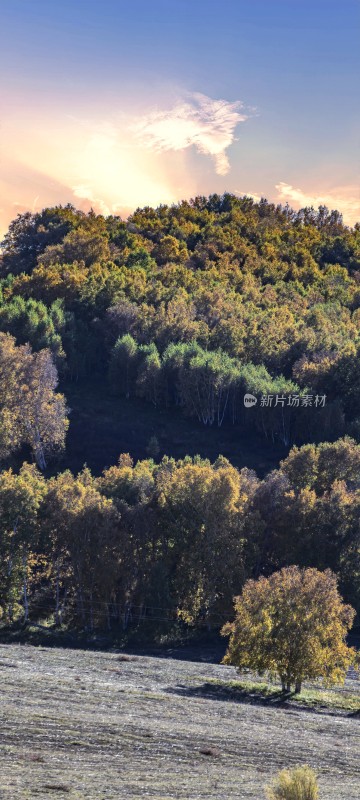 秋日山林与开阔草地景观