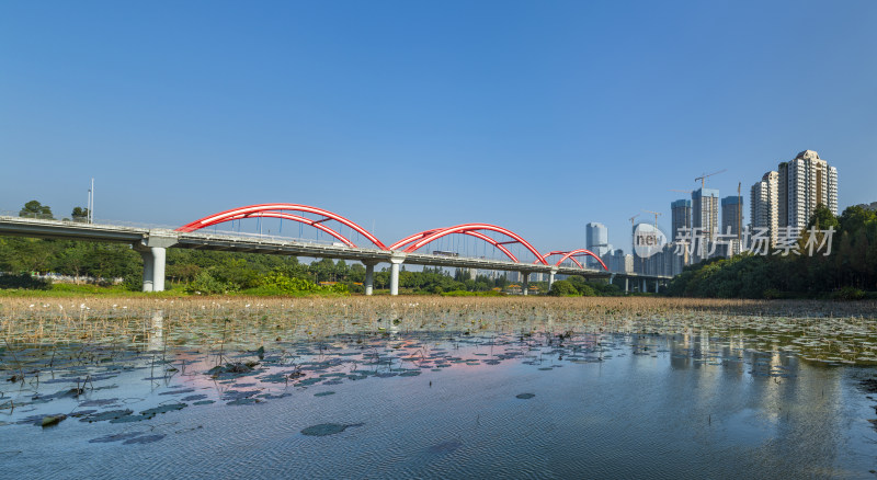 深圳洪湖公园芙蓉桥