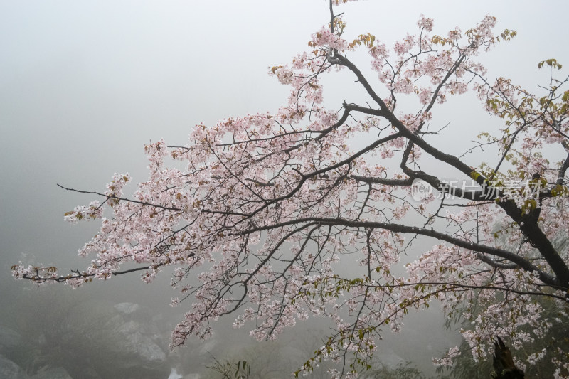 庐山风景区