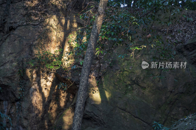 杭州宝石山紫云洞景区