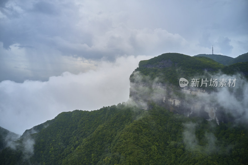 云海中的金佛山