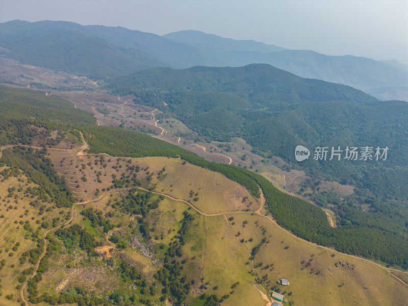 航拍山顶牧场田园风光