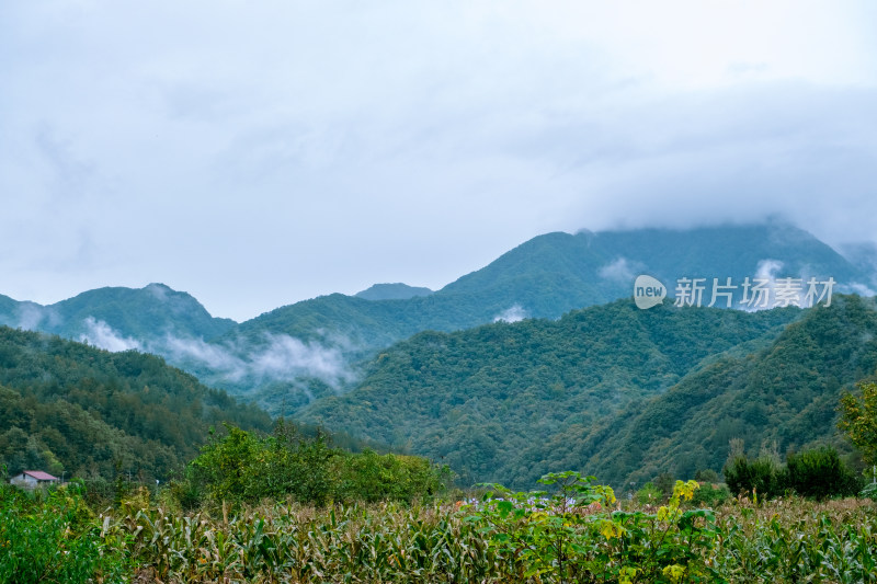 汉中留坝火烧店镇秦岭深处的山村田园风光