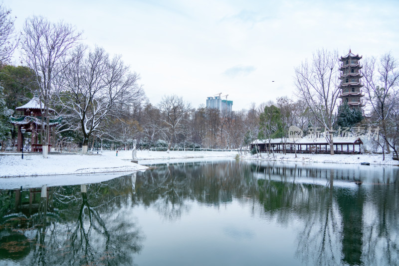 武汉冬天解放公园雪景