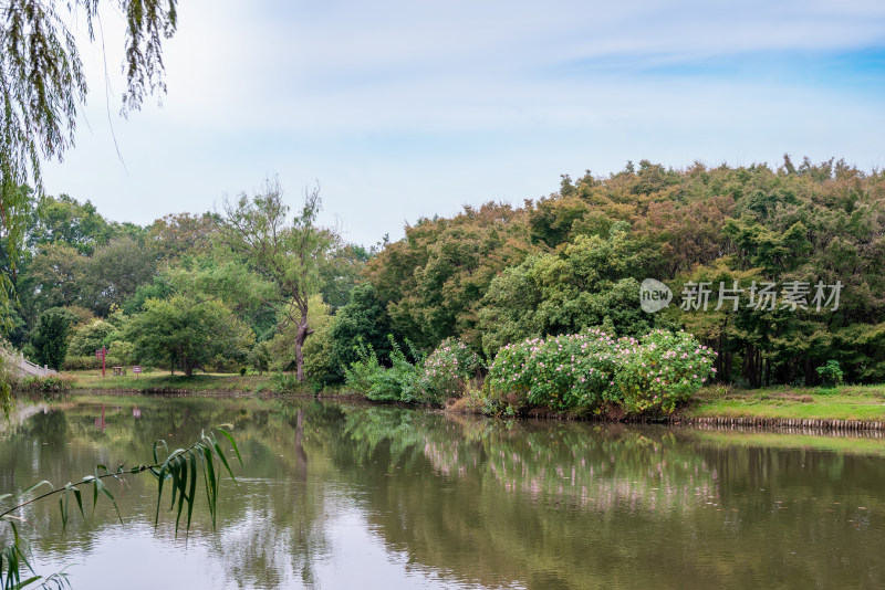 江苏镇江市焦山风景区风光