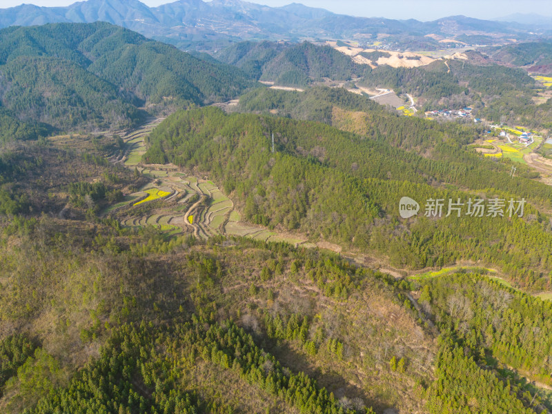 山川农田油菜花美丽乡村航拍摄影图