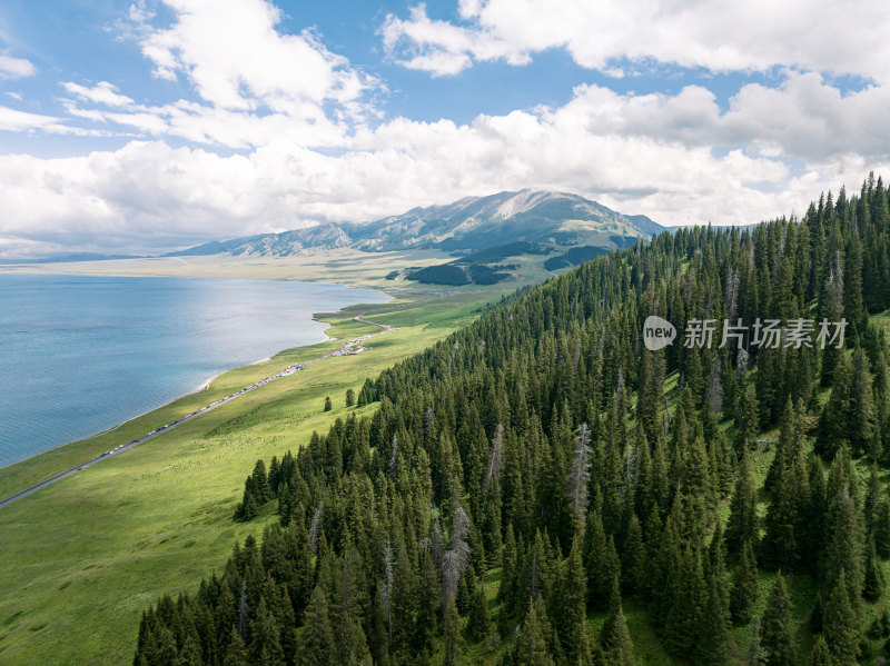 云杉与湖泊高山