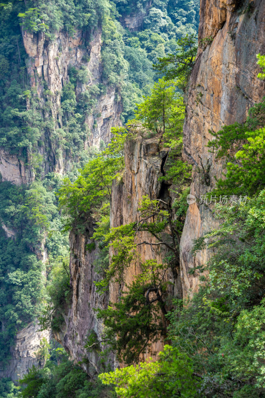 中国湖南张家界景区奇特山峰与茂密森林