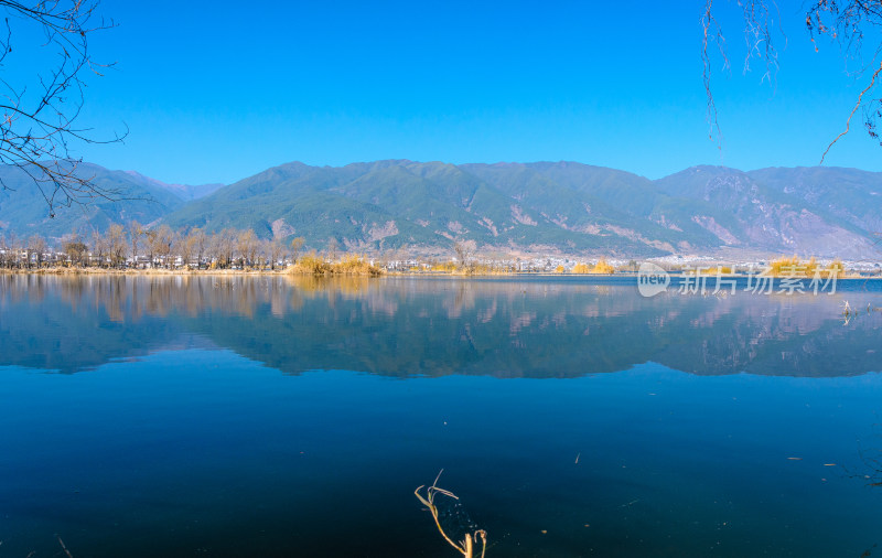 云南大理洱海湖畔树林秋景自然风光