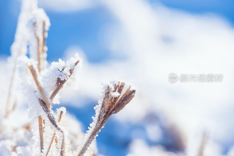 户外冬天冰雪纯净背景