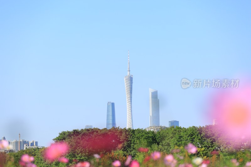 广州城市地标建筑远景