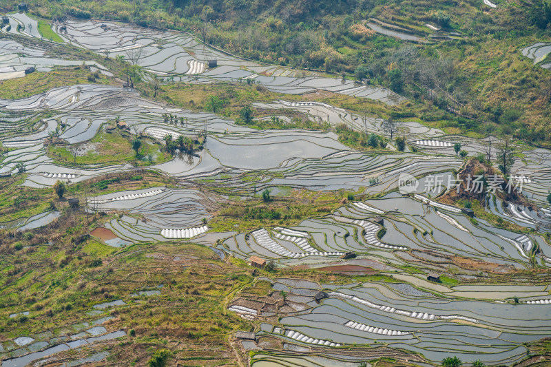 红河州元阳梯田自然风光