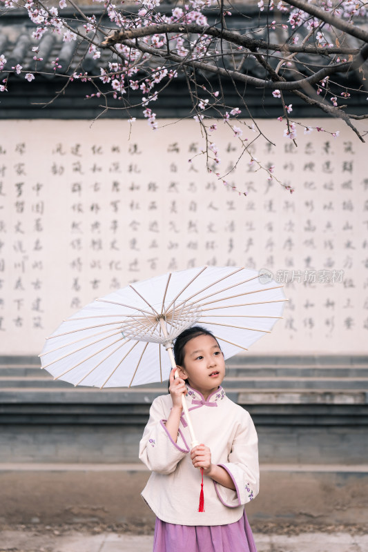 在盛开的桃花树下撑伞的中国女孩