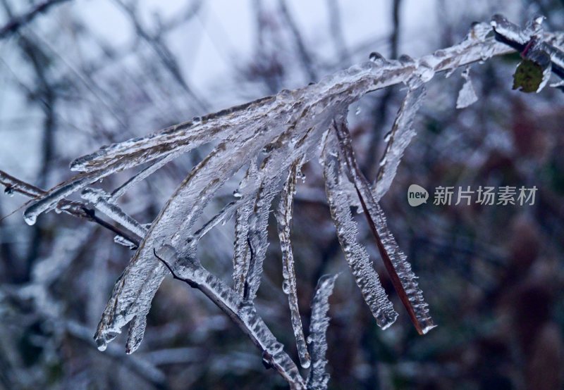 重庆酉阳：一场冰冻游客“醉”