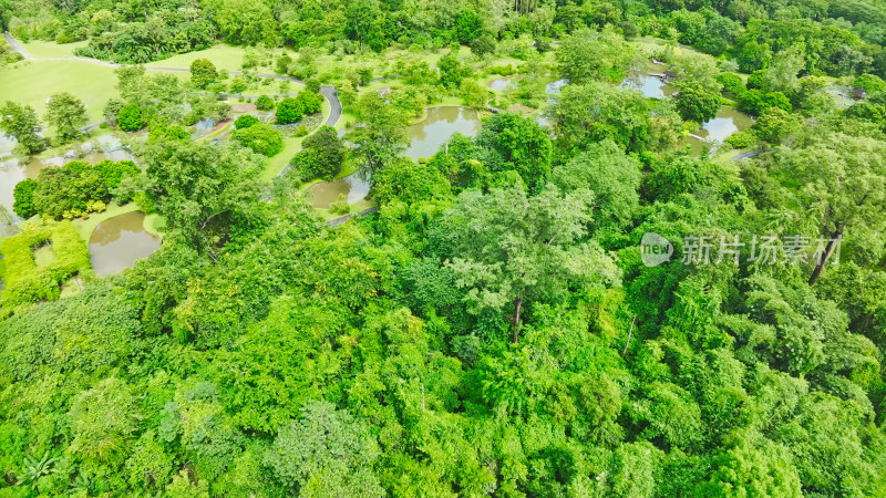 中科院西双版纳热带植物园