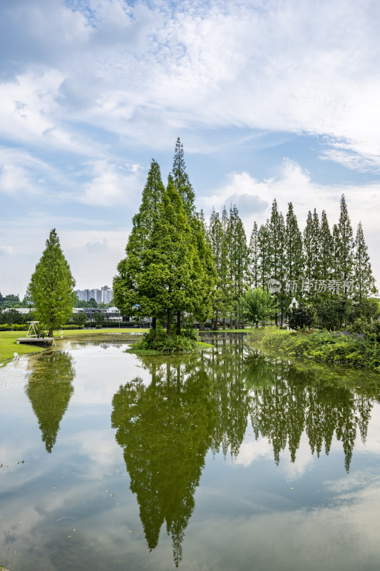 成都城市风景