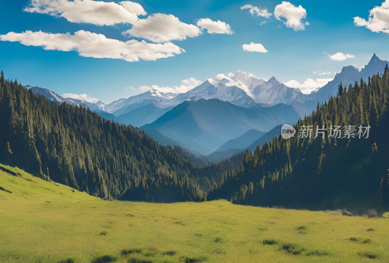 雪山高原草原森林风景