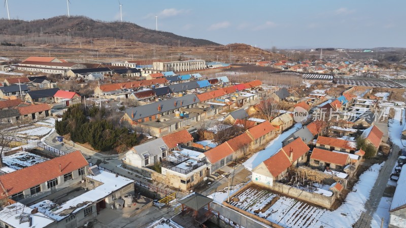 航拍威海市文登区瓦屋庄村百年银杏冬季雪景