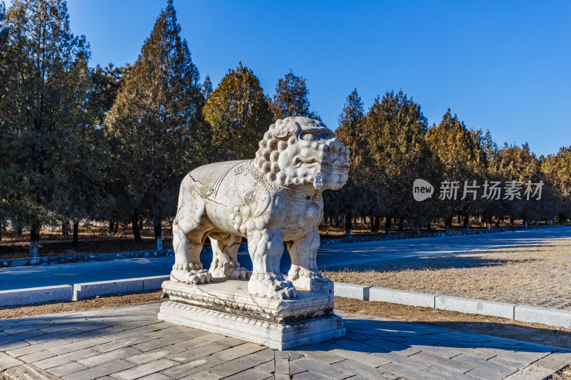 河北唐山市遵化清东陵石像生狮子